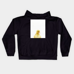 Baby Duck, Nursery, Animal, Kids room, Modern art, Wall decor Kids Hoodie